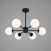 Luster HD2115-6 ( 5214 )