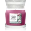 YC Signature Sveča Majhna Sparkling Winterberry