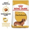 Royal Canin | Adult Jazbečar hrana za odrasle pse