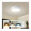 Brilagi - LED prigušiva svetiljka POOL LED/18W/230V 3000-6000K 20 cm bela + daljinski upravljač