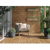 OLIVO MIEL 60x120