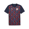 Puma Dres RBS Prematch SS Jersey 2024/25
