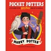 Pocket Potters: Harry Potter (Little Guides to the Harry Potter Books #1)