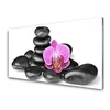 tulup.si Slika na akrilnem steklu Flower stones art 100x50 cm 2 obešalnika