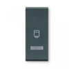 Aling Taster 65423.A, bojlera 1M sa indikacijom, Antracit