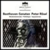 Peter Rösel & Ludwig van Beethoven - Beethoven Sonaten (Reissue) (LP)
