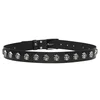Pas Skull - PAS-236