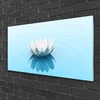 tulup.si Slika na steklu Cvetovi rastlin narava 120x60 cm 2 obešalnika