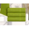 Ljubki dom Brisača CLARYSSE ELEGANCE 70x140 cm zelena, 100% bombaž