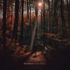 Ward Dhoore - It Was All Heart (LP)