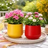 Saksija okrugla 13.5cm x14 cm crvena ,pink,oker,prljavo bela