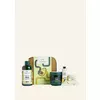 Lather & Slather Avocado Gift Case