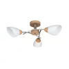Spot-Light 8141374 - Plafonski luster VILETTA 3xE27/60W/230V