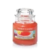 shumee Sveča Yankee Candle z vonjem po Martiniju in pasijonki - majhna dišeča sveča