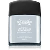 Wilkinson Sword Classic Aftershave Fragrance osvežilna voda za po britju za moške 100 ml