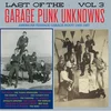 Various Artists - Last Of The Garage Punk Unknowns Vol 3 (LP)