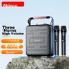 Shinco Bluetooth karaoke zvučnik sa 2 mikrofona D88, USB, Crni
