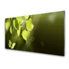tulup.si Slika na steklu Listi sončnimi žarki 140x70 cm 2 obešalnika