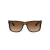 Ray-Ban Justin Naočare za sunce RB 4165 710/13
