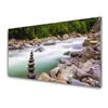 tulup.si Slika na steklu Forest river stream gore 125x50 cm 2 obešalnika
