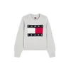 Tommy Jeans Pulover mornarska/svetlo siva/rdeča/bela