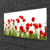 tulup.si Slika na steklu Mak rože narava rastlin 125x50 cm 4 obešalnika