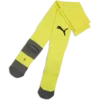 Puma Nogavice teamLIGA26 Core