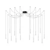 Ideal Lux - LED luster na sajli LUCCIOLA 16xLED/16W/230V CRI 90 u obliku pauka, u crnoj boji