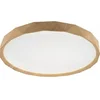 Mitea Lighting Plafonjera fi280mm 15W LED SMD CCT 3000~6500K M205514