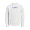 JACK & JONES Majica JORFREDERIKSBERG modra / pegasto bela