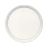 LED plafonsko svetlo LED/18W/230V 3000/4000/6500K prečnik 23 cm bela