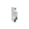 Siemens Odklopnik 1P B 10A 6kA AC SENTRON 5SL6110-6