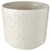 SESAMFRÖN Cvetlični lonec, notranji/zunanji krem bela, 12 cm