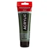 Royal Talens amsterdam akrilna boja 120ml - odaberite nijansu olive green d ( 680622 )