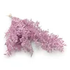 shumee Stabiliziran Ruscus - (Ruscus) - Heather