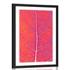 Plakat s paspartujem struktura lista - 30x45 no frame