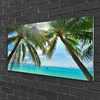 tulup.si Slika na steklu Palm tree morje landscape 100x50 cm 4 obešalnika
