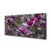 tulup.si Slika na platnu Vijolična magnolija 120x60 cm