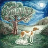 J.D. Wilkes - Will I See You One Day In Gods Glory Land? (LP)
