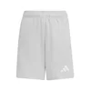 ADIDAS PERFORMANCE Športne hlače ENT26 svetlo siva