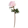 Shishi Svetlo roza potonika 72 cm