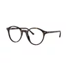 Ray-Ban Bernard Naočare RX 5430 2012