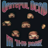 Grateful Dead - In The Dark (Remastered) (Silver Coloured) (LP)