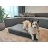 Vetmanu | Luxury Plus Ortopedska postelja 70x100x15 cm
