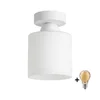 BRILAGI - LED stropno svetlo RETRO GLASS 1xE27/60W/230V O 10 cm belo
