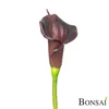 Kala vijolična 65 cm Real touch - 50 do 75 cm