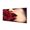 tulup.si Slika na akrilnem steklu Rose ženska usta 120x60 cm 2 obešalnika
