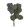 Stabiliziran evkaliptus Populus - zelena/4 stebla, 20 cm