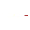Gold Tip Bolt Carbon Swift with 4” Vanes