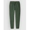 Patagonia Micro D Sweatpants canopy green